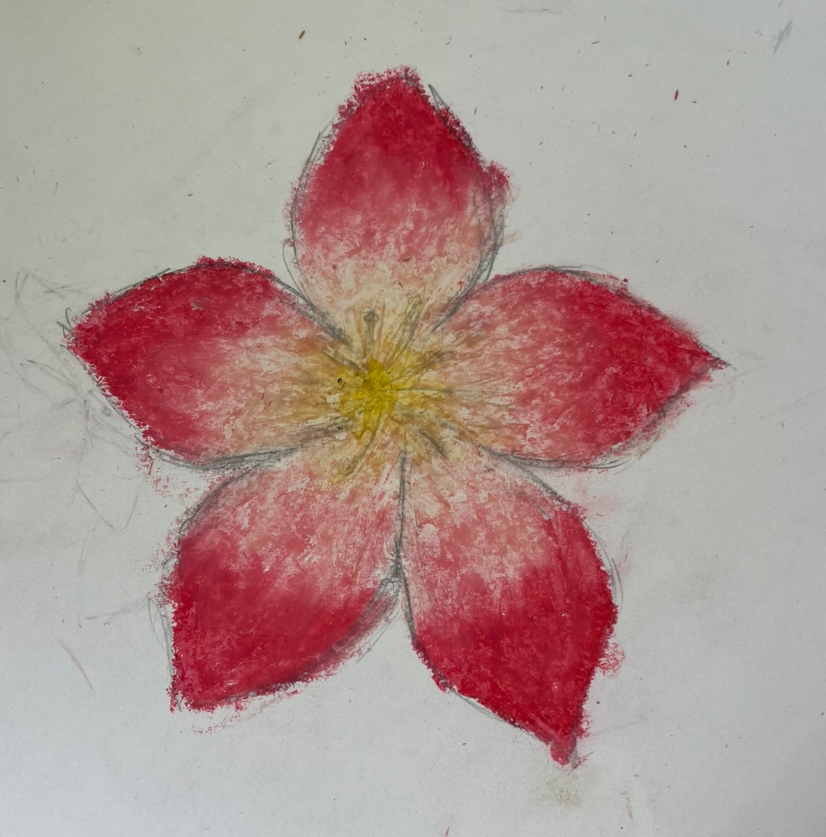Yesterday the children explored the beautiful gardens at the Ripley. They took some foliage and flowers of their choice back into the art studio &amp; sketched them using oil pastels to colour, them if they so wished. We hope you like their efforts. 

#chislehurstkids #bromleykids