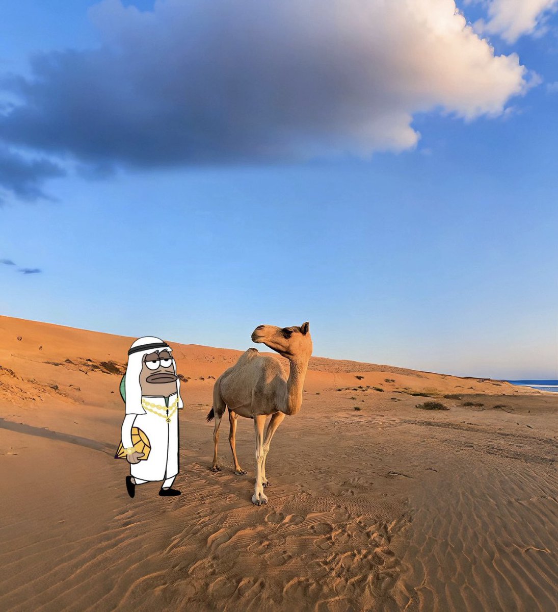 If you short #Mubarak, don't blame anyone!  
You deserve to be poor.