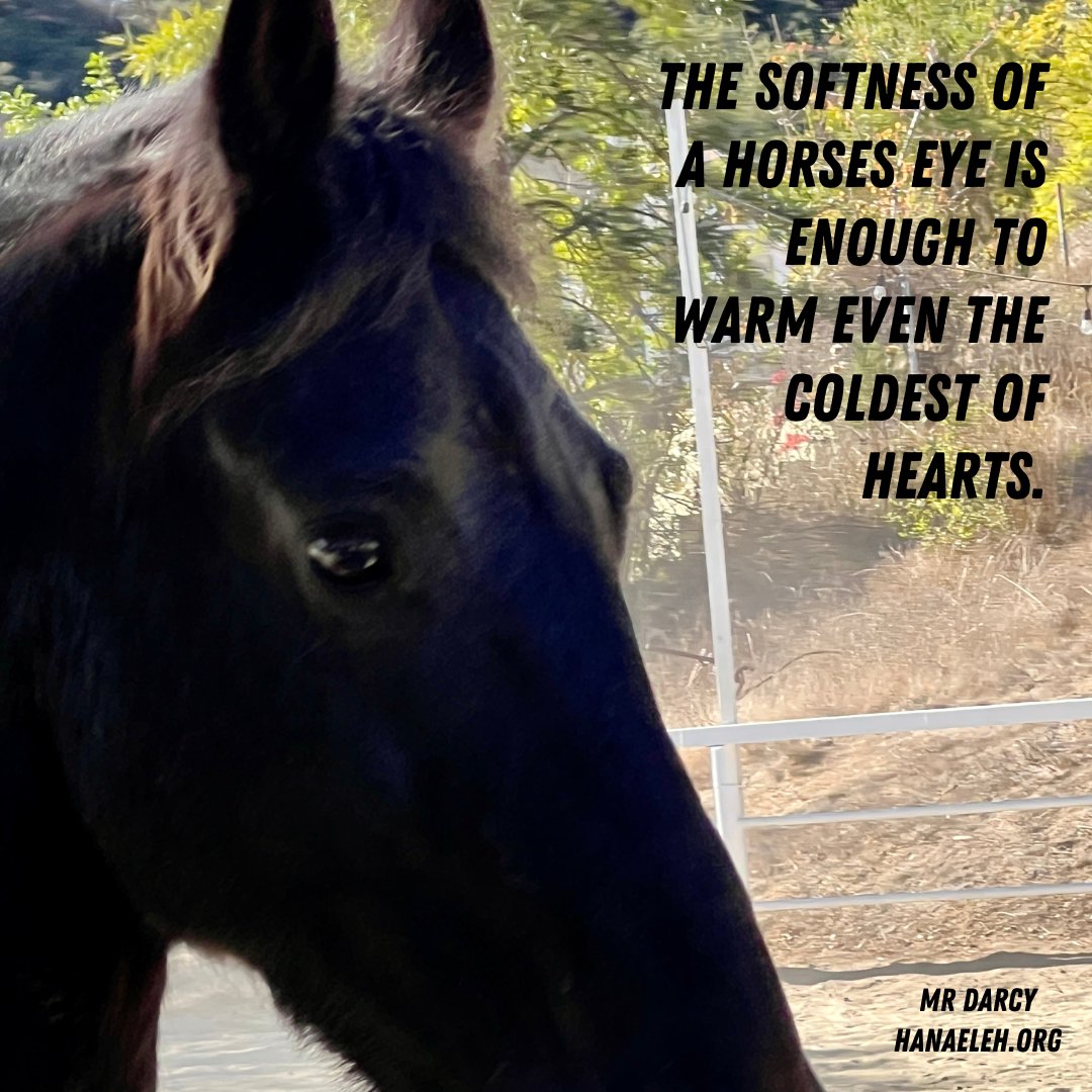 Hanaeleh (@hanaeleh) on Twitter photo 