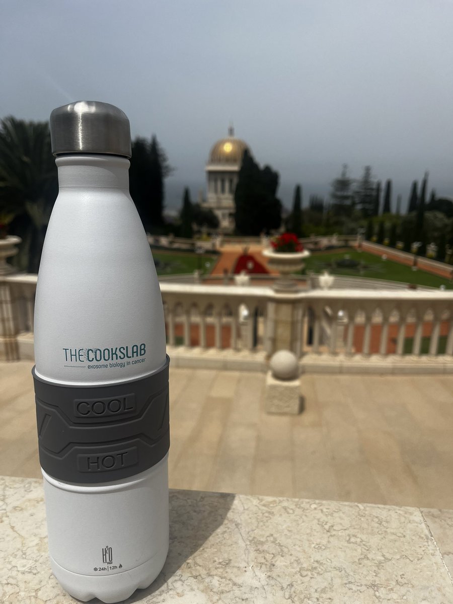 The CookLab annual retreat in Haifa, let’s go🏃‍➡️