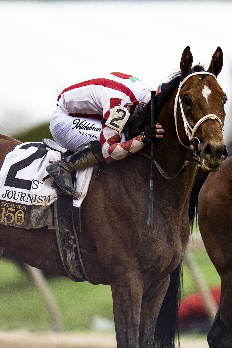 JessMGallagher's tweet image. 150th Preakness Stakes 🐎
Find all of our coverage on the @BaltimoreBanner 🎉