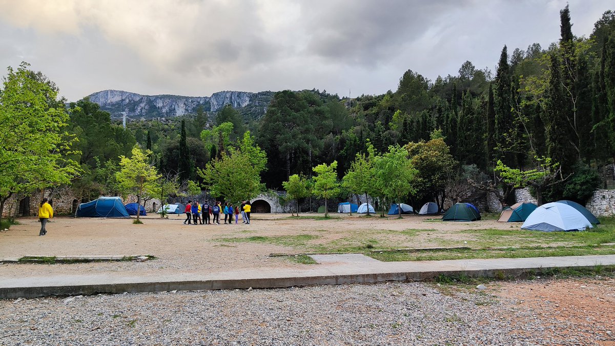 Cau de Valls tweet media
