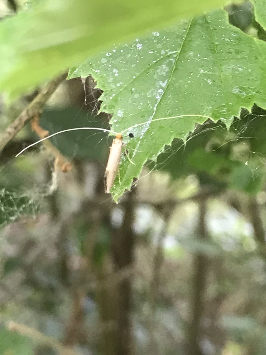 Phil Jackman tweet media