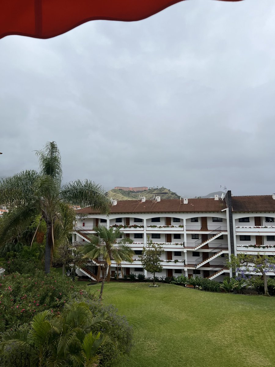 patrushkaz's tweet image. Morning from a wet foggy chilly Puerto de la Cruz … sun will arrive soon ! @OrbNews