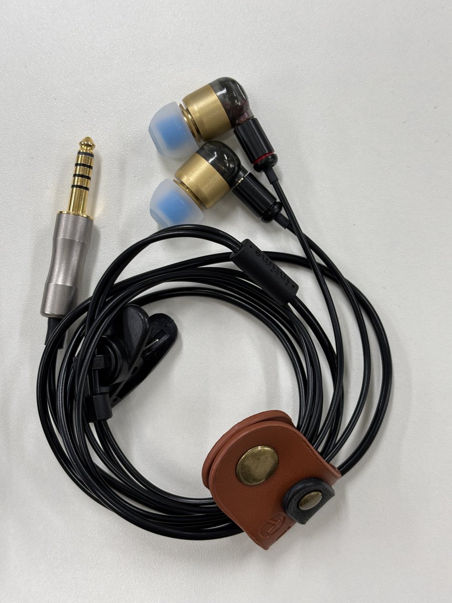 EARPHONES TIGER Classical（うつせみワークス） EARPHONES TIGER