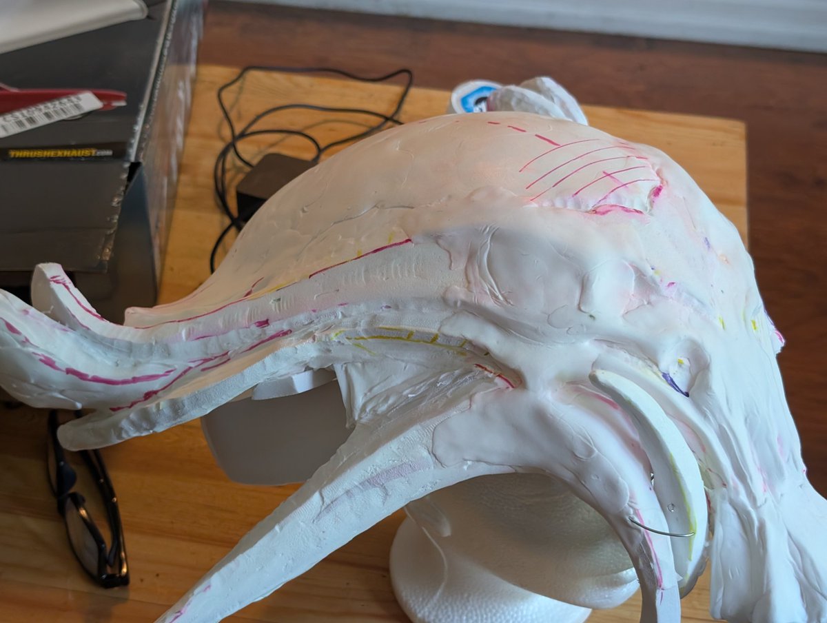 Shkelliton's tweet photo. Added material back and she's starting to look more as she should! I have to add more material to a couple of the teeth but I have to figure out the jaw attachment before then :( I think most things past this point will have to be hand sanded #warframefanart #valkyrcarnivex https://t.co/VAu916D84g