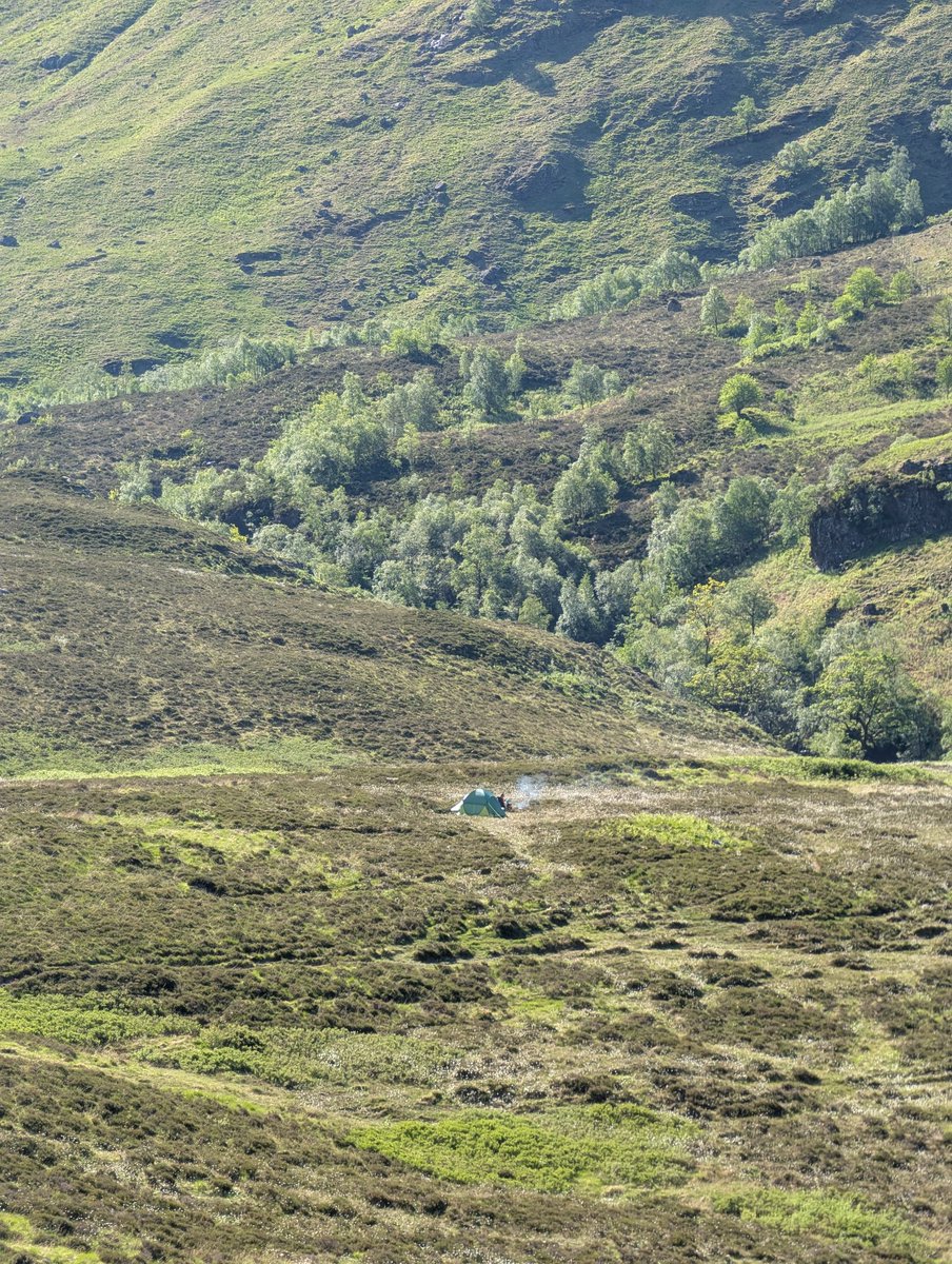 Kathi Kamleitner ✌️🌿 tweet media