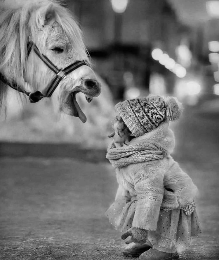 LeoAuteur's tweet photo. #Concours de #grimaces, et franchement je ne saurais dire qui va gagner…
📷 #photo d'Ilhami Cetin https://t.co/KEKRNvy9tG