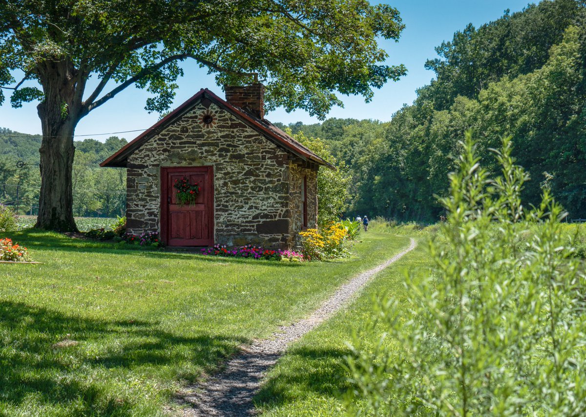 P_collins787's tweet photo. Have a wonderful weekend 💙 
Sunday walking 💚 
Good vibes and sunshine 💛 https://t.co/pzBiIl7HX7