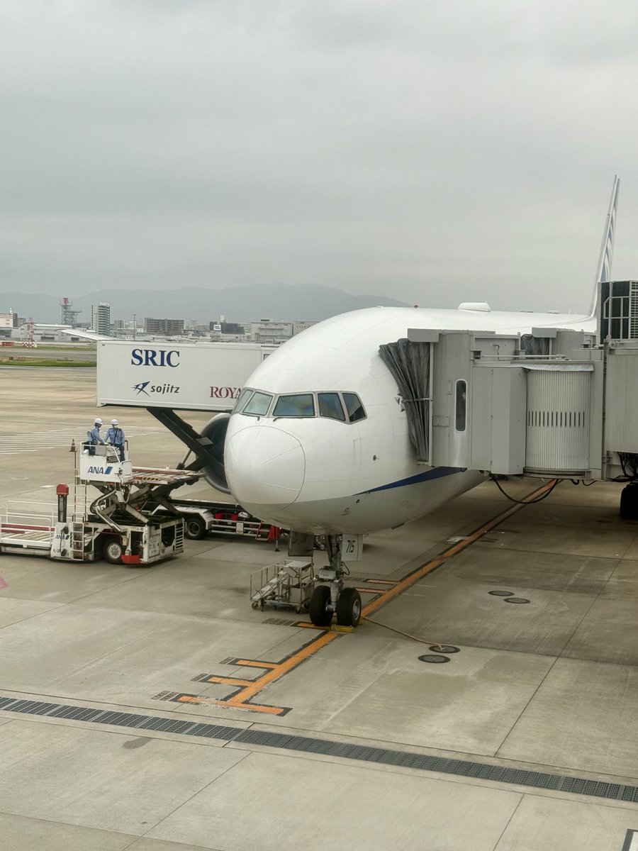 iso_pyon's tweet photo. B767-300ER狙って確保したのに、またしても機材変更

まあ些細なこと

楽しかった舞台鑑賞

東京帰ります

#NH266 #ANA
#B777_200ER #JA715A 
#PW4090 #PW4000 https://t.co/l5OCqwfGPf