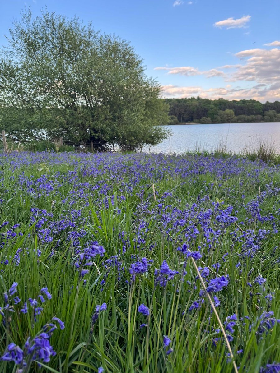 FarmWelsh's tweet image. Nice.………

#smallbusinessesstickingtogether #SheepAndCattleDrench #wholelambcolostrum #thedaffodilisrising #lambdefender #WorksEverywhere #notjustforwales #littleandoften #eweturnpodcast #WelshFarmSupplies