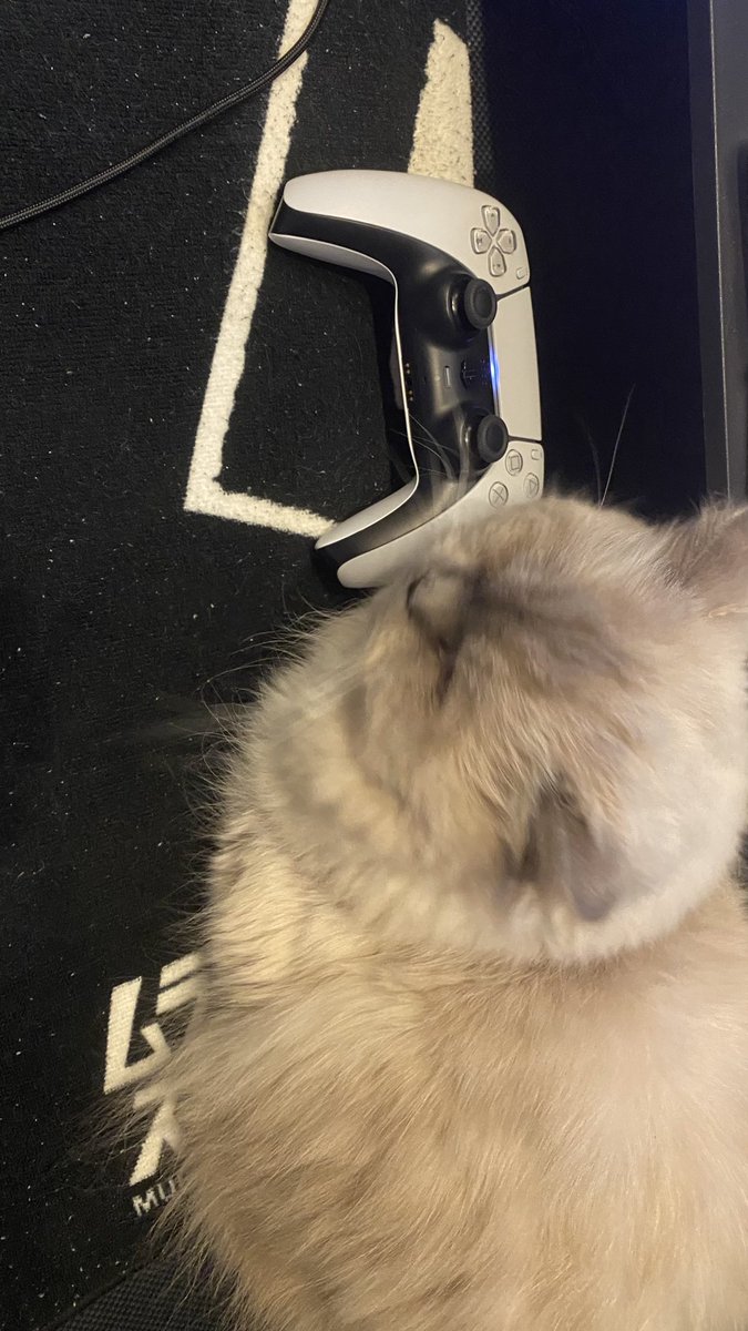 𝙽𝙸𝚃𝙾𝚁𝙾𝚉𝙴𝚄𝚂 tweet media