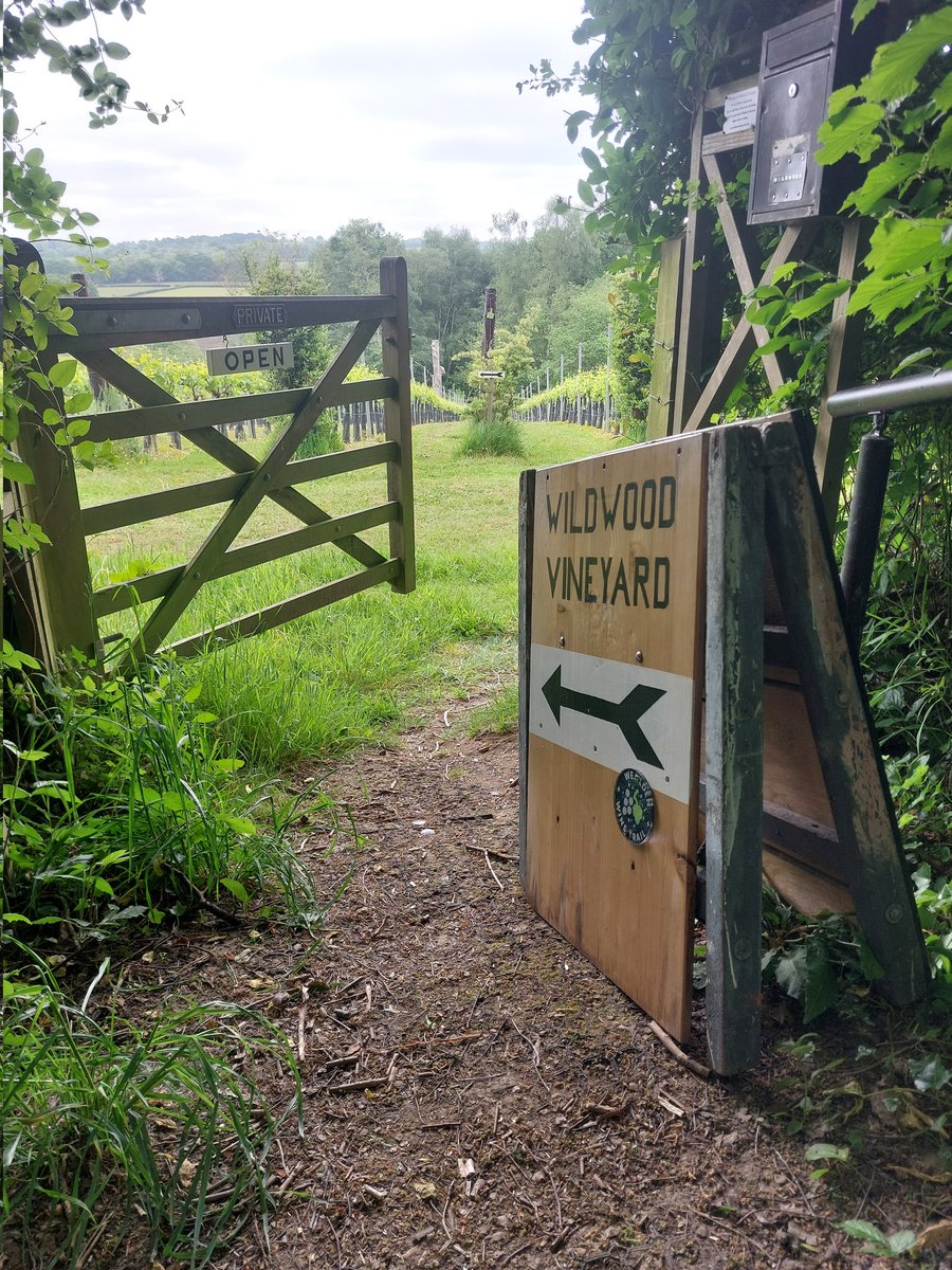 Sunday 18 May Wildwood Vineyard is OPEN 10-4. Pop in for some award winning wines, take our new self guided tour around the vineyard and woods or we still have spaces on our 2pm Tour &amp; Tasting.