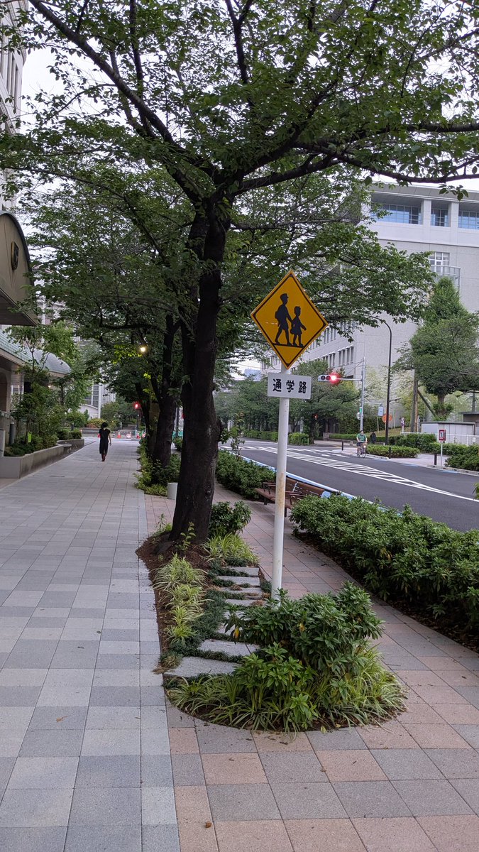 中央区晴海
元からある桜の街路樹をそのままに
車道を減らして、歩道を拡幅しました
桜の木陰が歩道にかかり
学生さんたちを守ります

なぜ神田警察通りでできないのですか？千代田区の怠慢では？

#神田警察通りの街路樹伐採に反対 
#樋口高顕千代田区長
#坂田副区長
#須貝担当課長