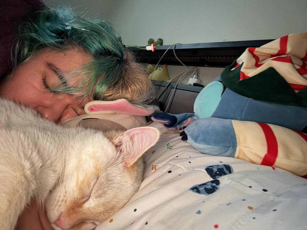 frogzlie's tweet photo. eepies 🧸 https://t.co/OZz2jTQXXJ