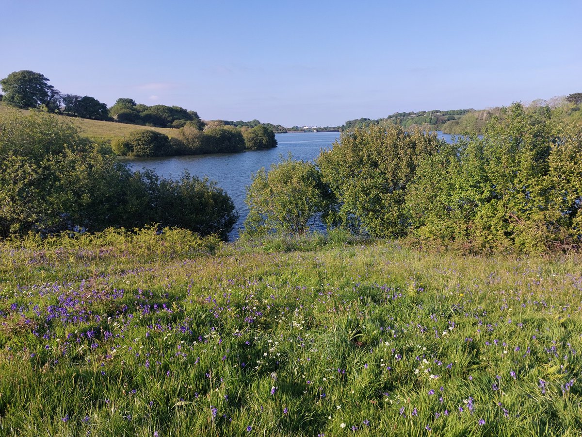 QuayArtPadstow's tweet image. Fabulous walk around Argal Reservoir #Penryn #Falmouth @swlakes #QuayArtOnTour
@Intocornwall @beauty_cornwall @WestcountryWide
@Cornwall_Coast @Devon_Cornwall
@iloveukcoast @WendyMounce