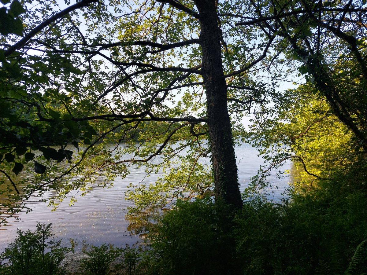QuayArtPadstow's tweet image. Fabulous walk around Argal Reservoir #Penryn #Falmouth @swlakes #QuayArtOnTour
@Intocornwall @beauty_cornwall @WestcountryWide
@Cornwall_Coast @Devon_Cornwall
@iloveukcoast @WendyMounce