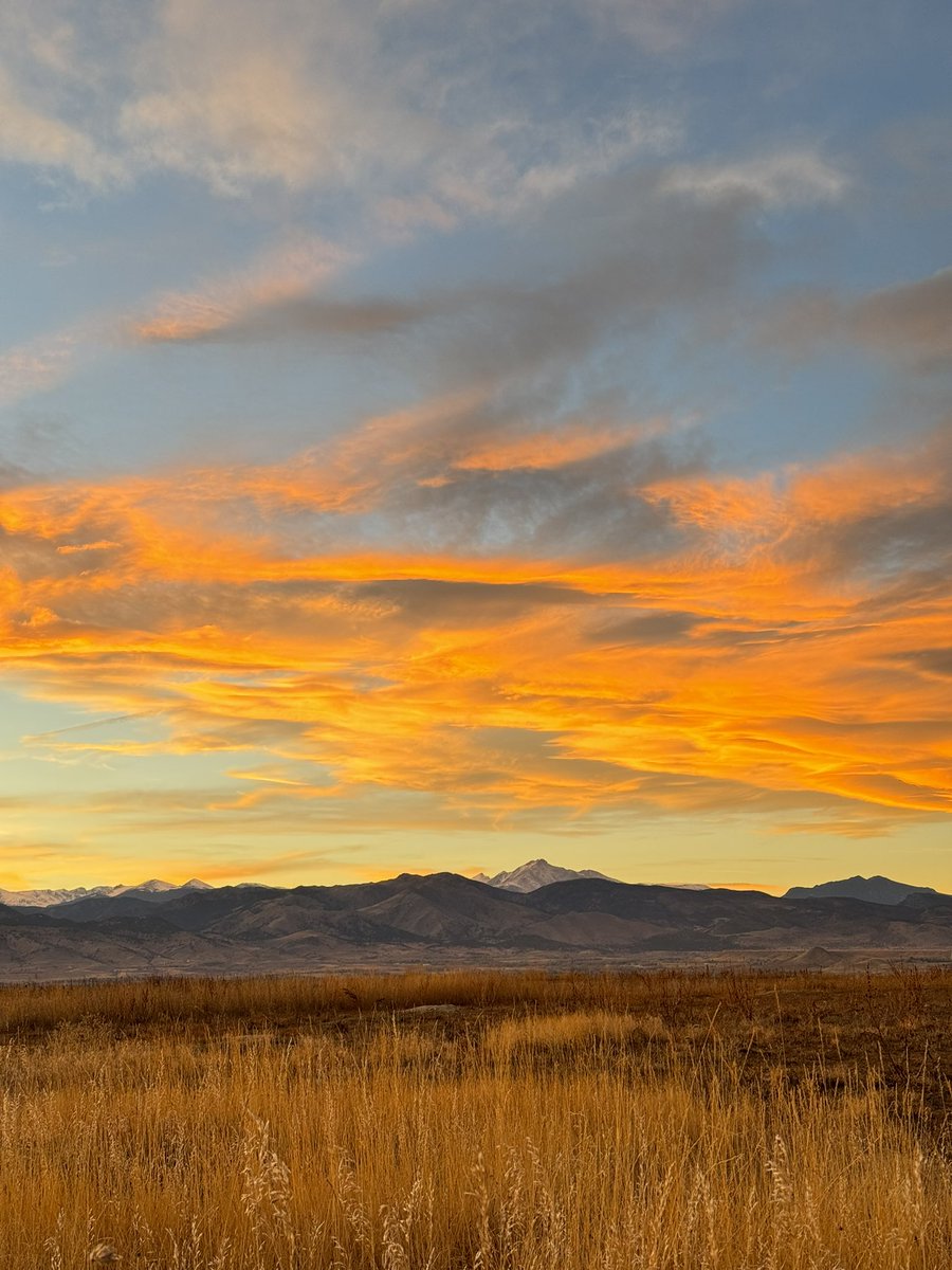 Karen Adams tweet media