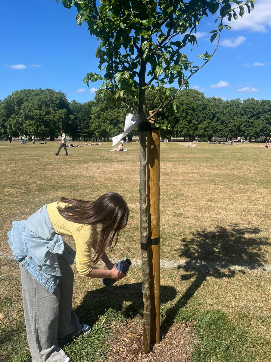 WandsworthPark's tweet image. Thanks to their Friends 💦 …

the trees 🌳 🌲 are already starting to look better @WandsworthPark @TiCLme @UrbanTreeFest 

#TreeFriends #BefriendaTree #whatFriendsarefor

x.com/wandsworthpark…