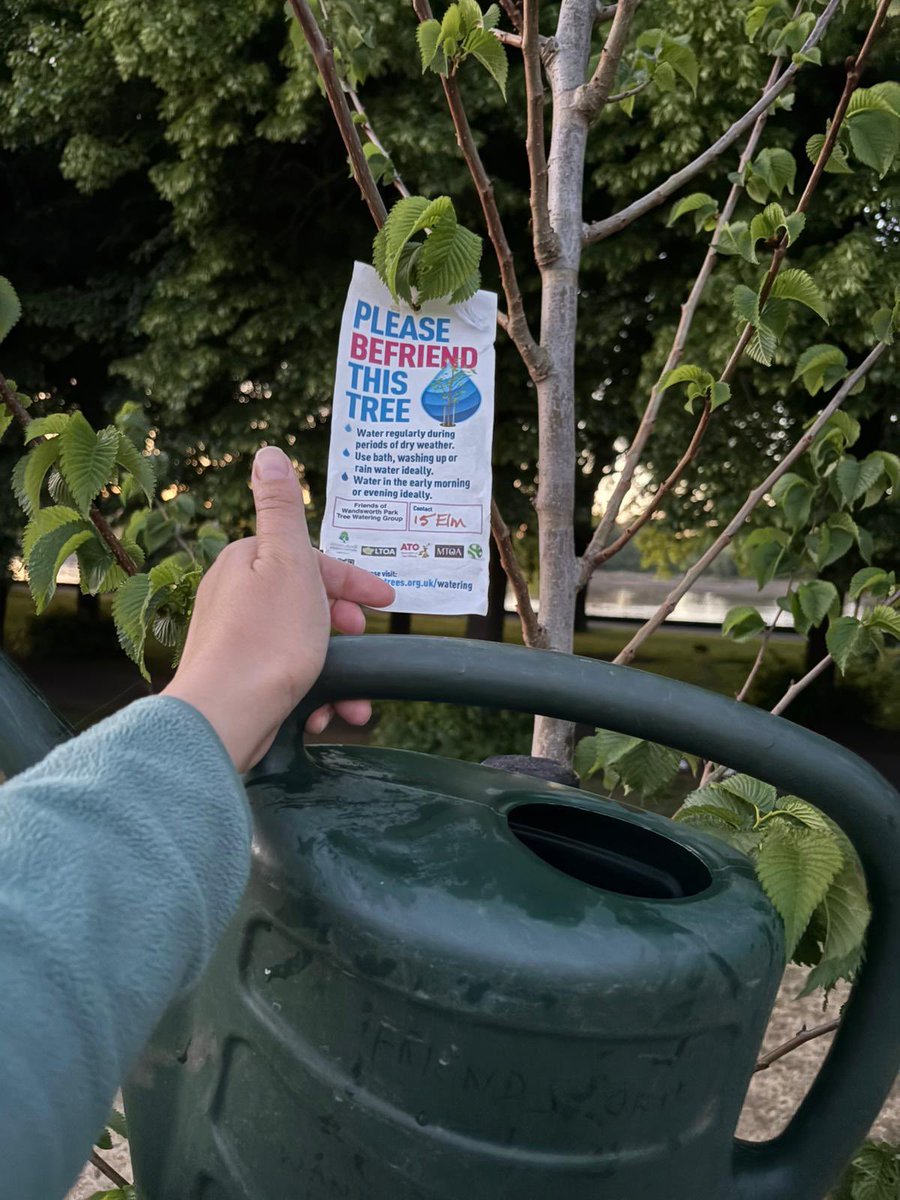 WandsworthPark's tweet image. Thanks to their Friends 💦 …

the trees 🌳 🌲 are already starting to look better @WandsworthPark @TiCLme @UrbanTreeFest 

#TreeFriends #BefriendaTree #whatFriendsarefor

x.com/wandsworthpark…