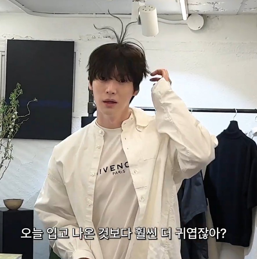 새싹이 자라버려