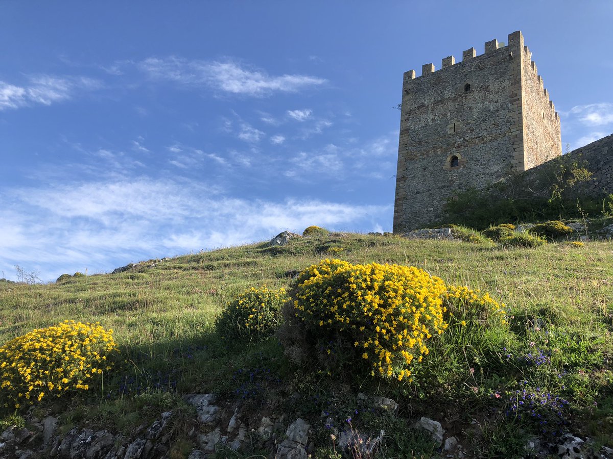 CastilloArgueso's tweet photo. El castillo está precioso estos días.
Cielo limpio, flores por todas partes… y esa paz de siempre. ¿Te vienes?

🌐 https://t.co/Y3xhL1Ohgu 

#castillodeargüeso #campoodesuso #campoodearriba #cunadelebro #cantabria #patrimoniomedieval #escapadarural #cantabriarural #castillos https://t.co/hx7CnaMXLZ