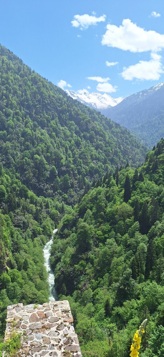 abi
abi karadeniz ya