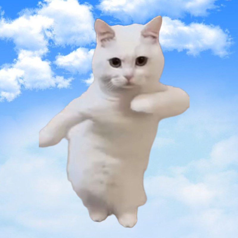 Sycosmile's tweet photo. Imagine a dancing cat taking you out of the trenches...
My cat just told me $DANCING is the next big thing on Solana. Who am I to argue? ๐คทโโ๏ธ Low MC, meme-tastic, and ready to moon
#Solana #Memecoin #Shitcoin #DANCECAT
CA:- 9BqfokTTNEPGLRLq72WGXBwFuDiv13FKjh1ZVargPTKt https://t.co/WDKt43VW7g