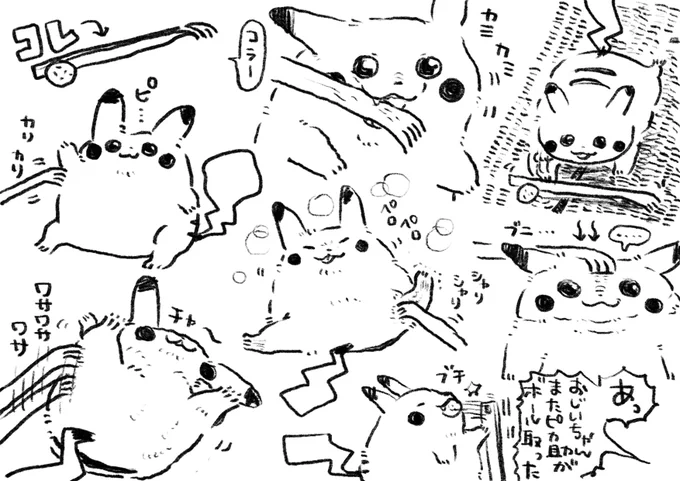 ピカチュウ再掲1
ライチュウのお腹ぽよぽよしたい 
