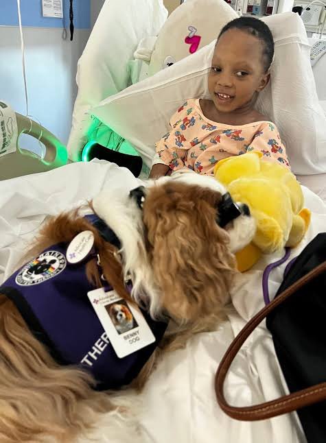 Birinci fotograf, onkoloji hastanesinde hasta ziyareti saatini kapıda bekleyen terapi köpekleri, ikinci fotograf da hasta ziyaretinden bir kare.

Evet, pek çok ülkede hastanın onayı ve talebi olmak şartıyla, kanser hastalarının tedavi ve rehabilitasyon süreçlerinde :