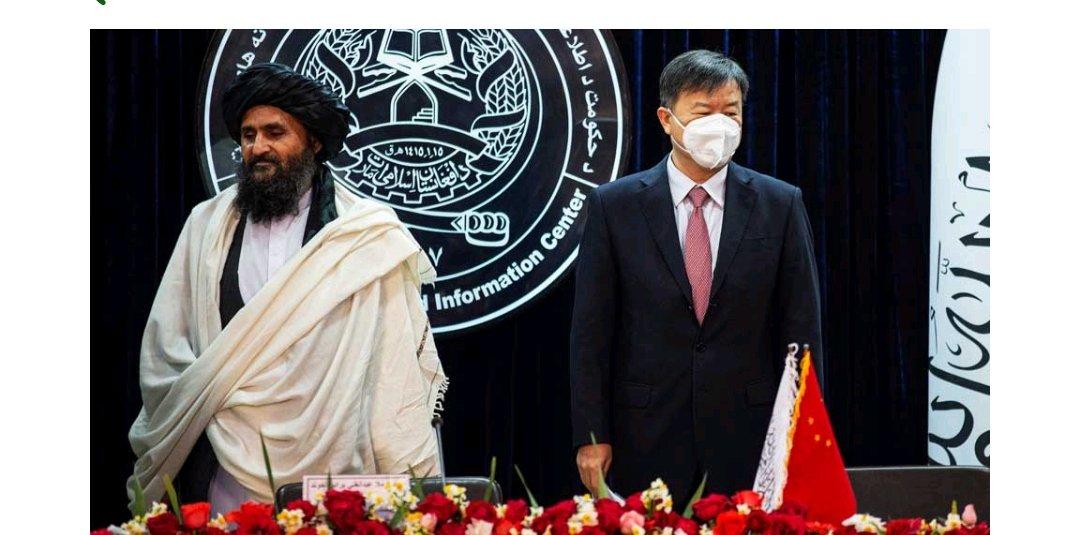 یہی افغان سفارتکار چینی قومی ترانے کے احترام میں کھڑے ہو جاتے ہیں، حالانکہ اس میں بھی میوزک شامل ہوتا ہے۔ اس کا مطلب یہ ہے کہ میوزک، محض ایک بہانہ ہے، اصل مسئلہ پاکستان سے تعصب اور بغض ہے۔پاکستان نے افغان عوام کے لیے دہائیوں تک قربانیاں دیں، لاکھوں مہاجرین کو پناہ دی، مگر بدلے