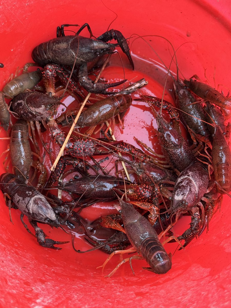 Allen Wang tweet media