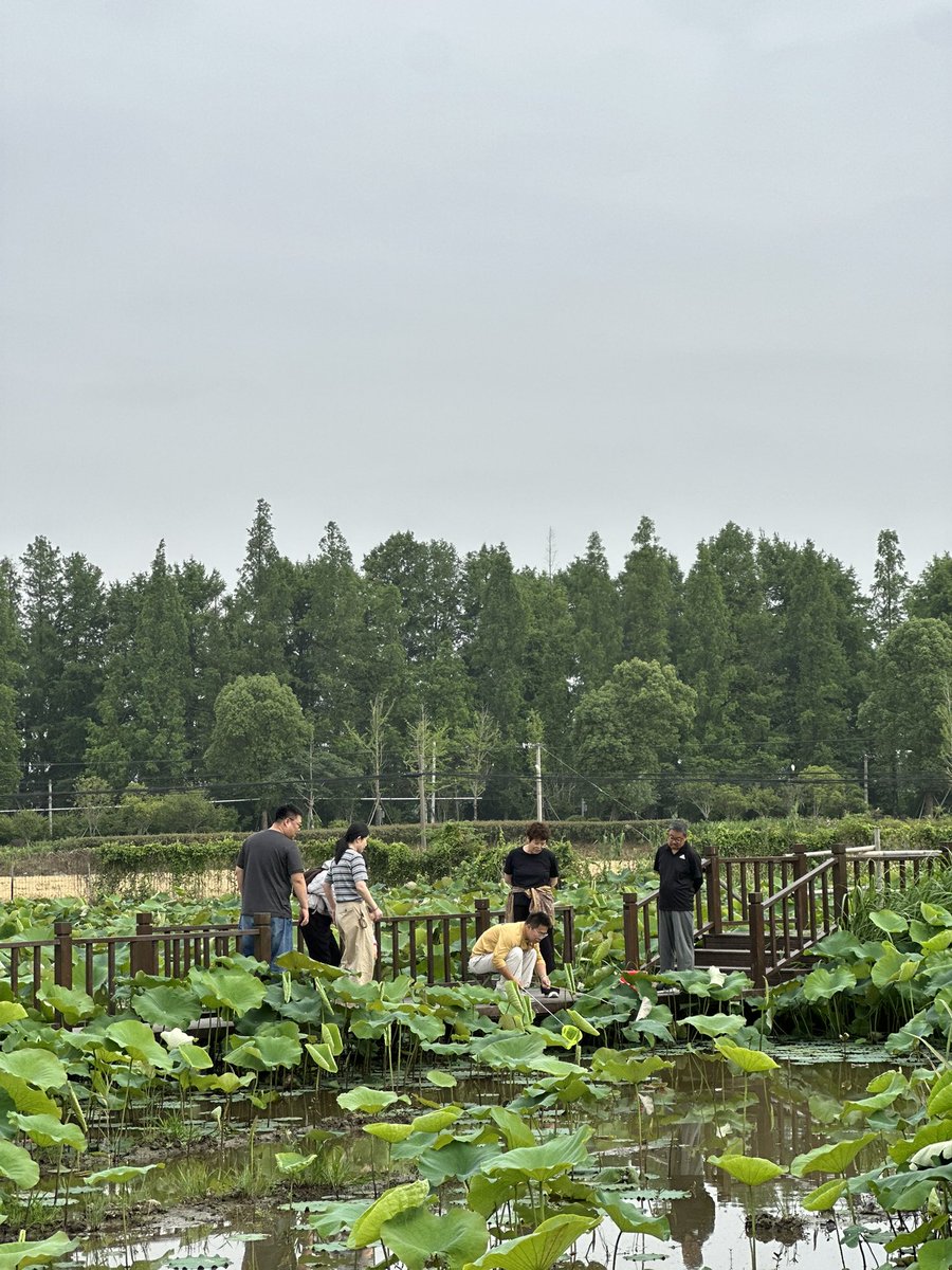 Allen Wang tweet media