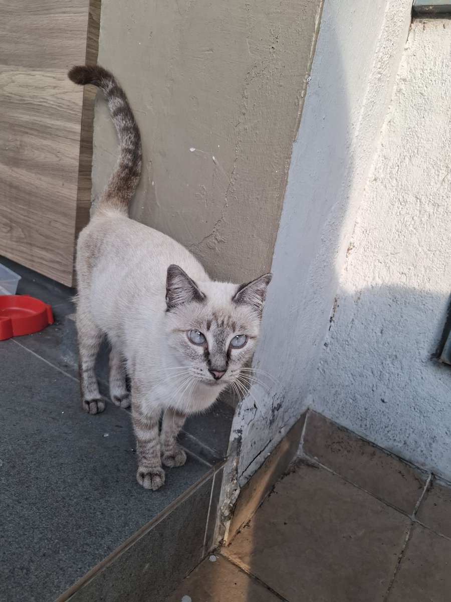 到新年的家乡玩，又活捉一只“新年”🤭🤭