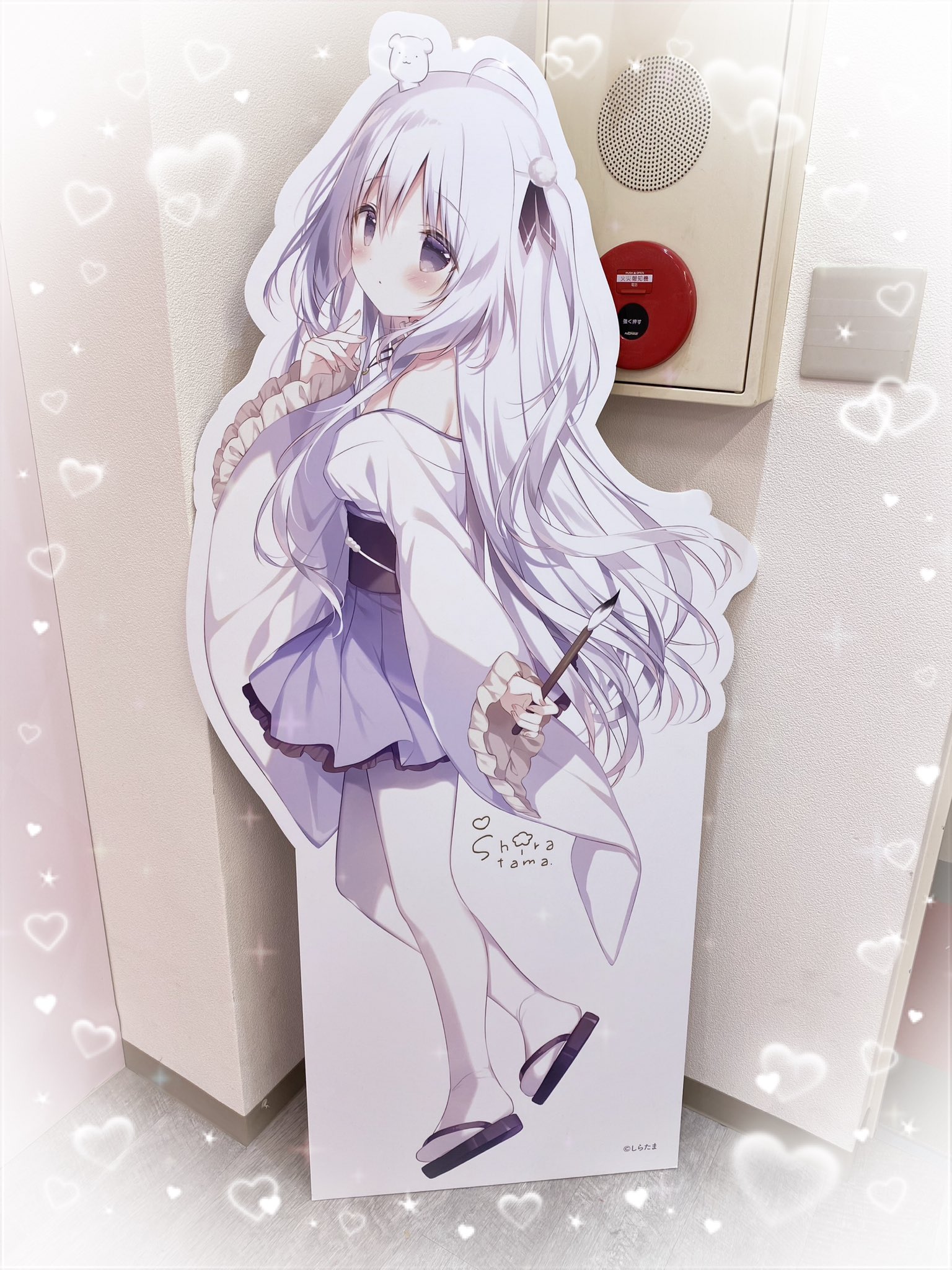 しらたま❄️5/3～5/25オンリーショップ開催❕＠秋葉原