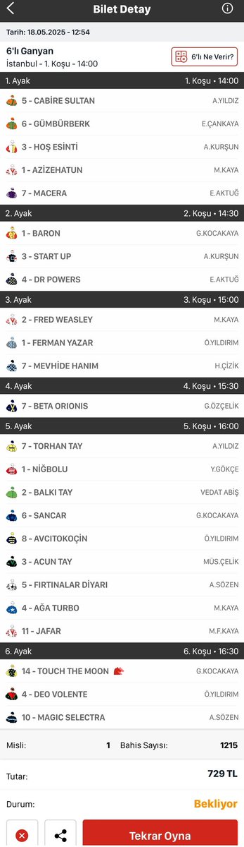 Beta Orionis... Çok koş olur mu?