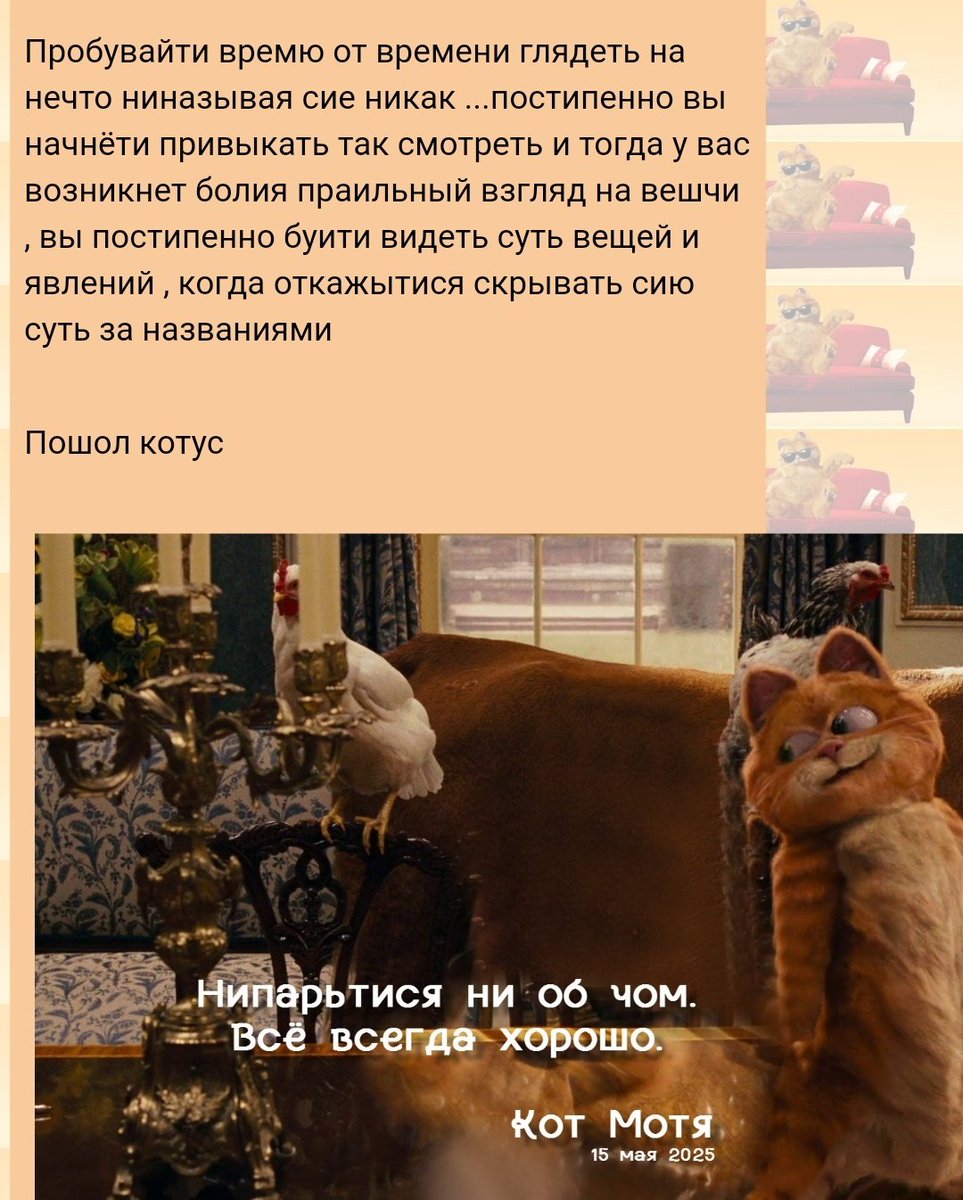 Спасибо, Кот!