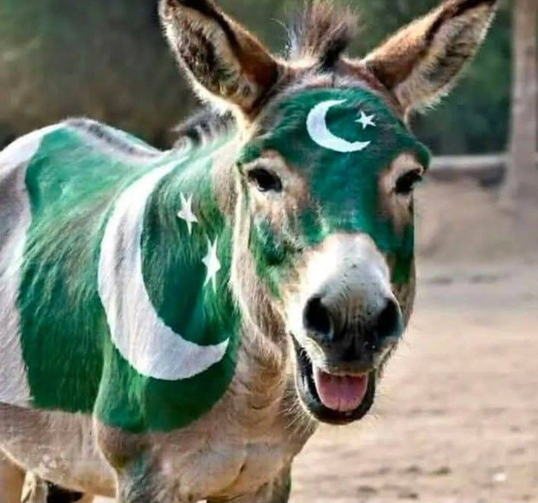 RKP_BNG's tweet photo. @NoorkhanAfridii @TrumpUpdateHQ https://t.co/JLzqkUx3Nu
