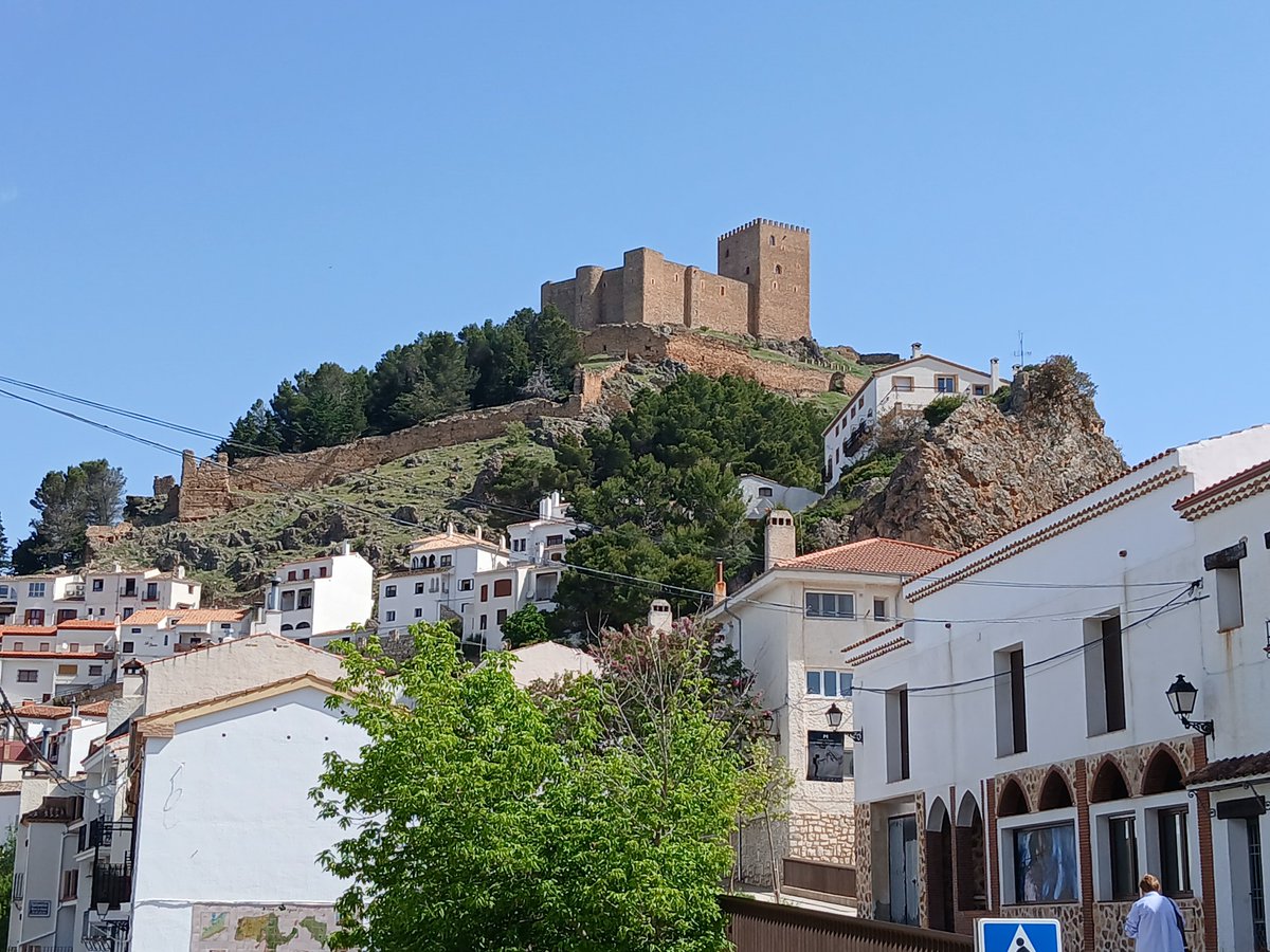 Mari Cortés tweet media