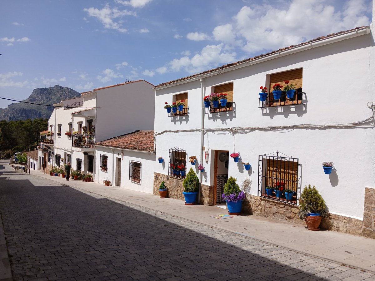 Mari Cortés tweet media