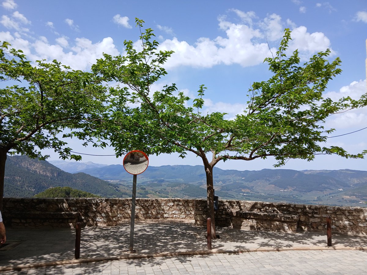 Mari Cortés tweet media