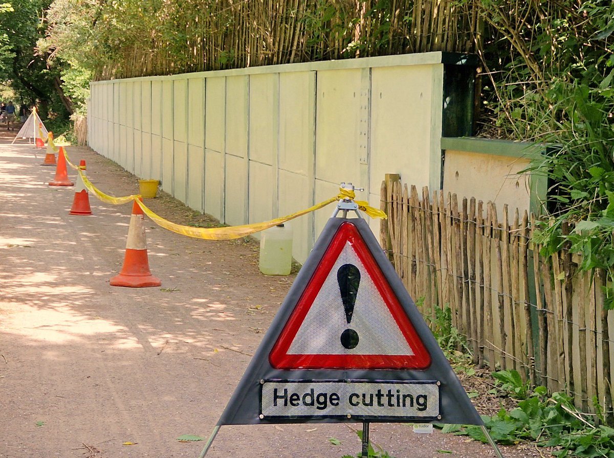 Mural painting project wall all ready for the family painting day thanks to our local volunteers