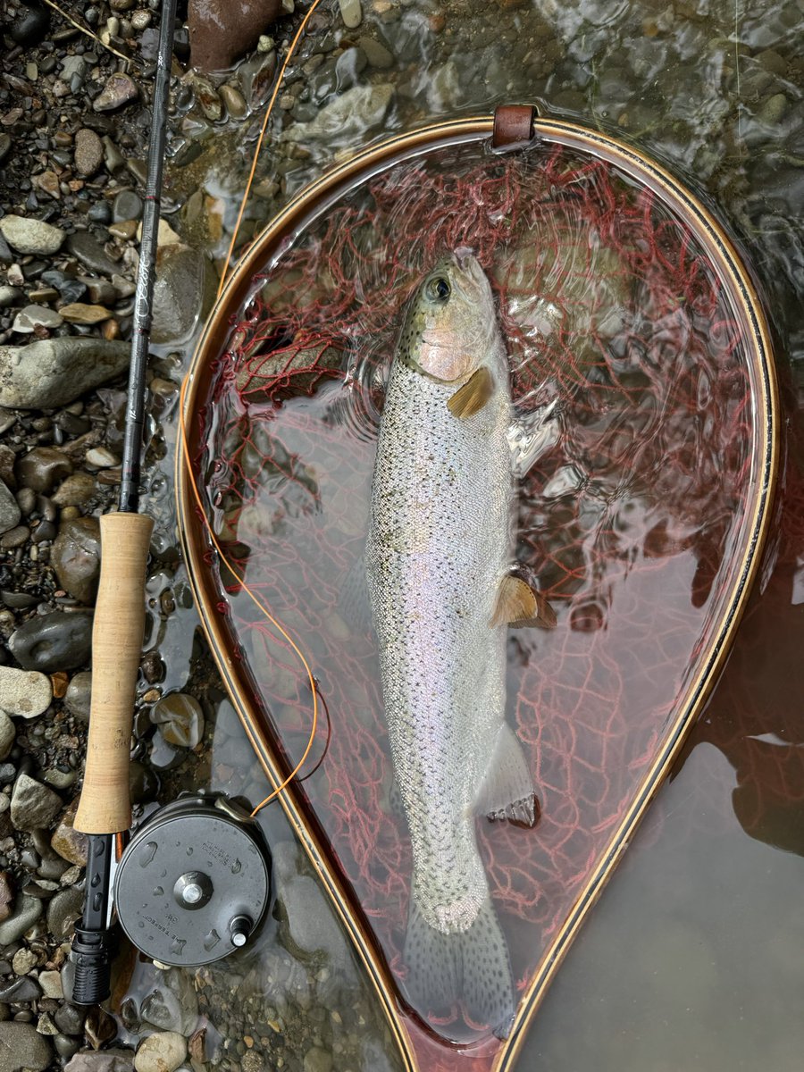 flyfishingとWrangler(キチガイ) tweet media