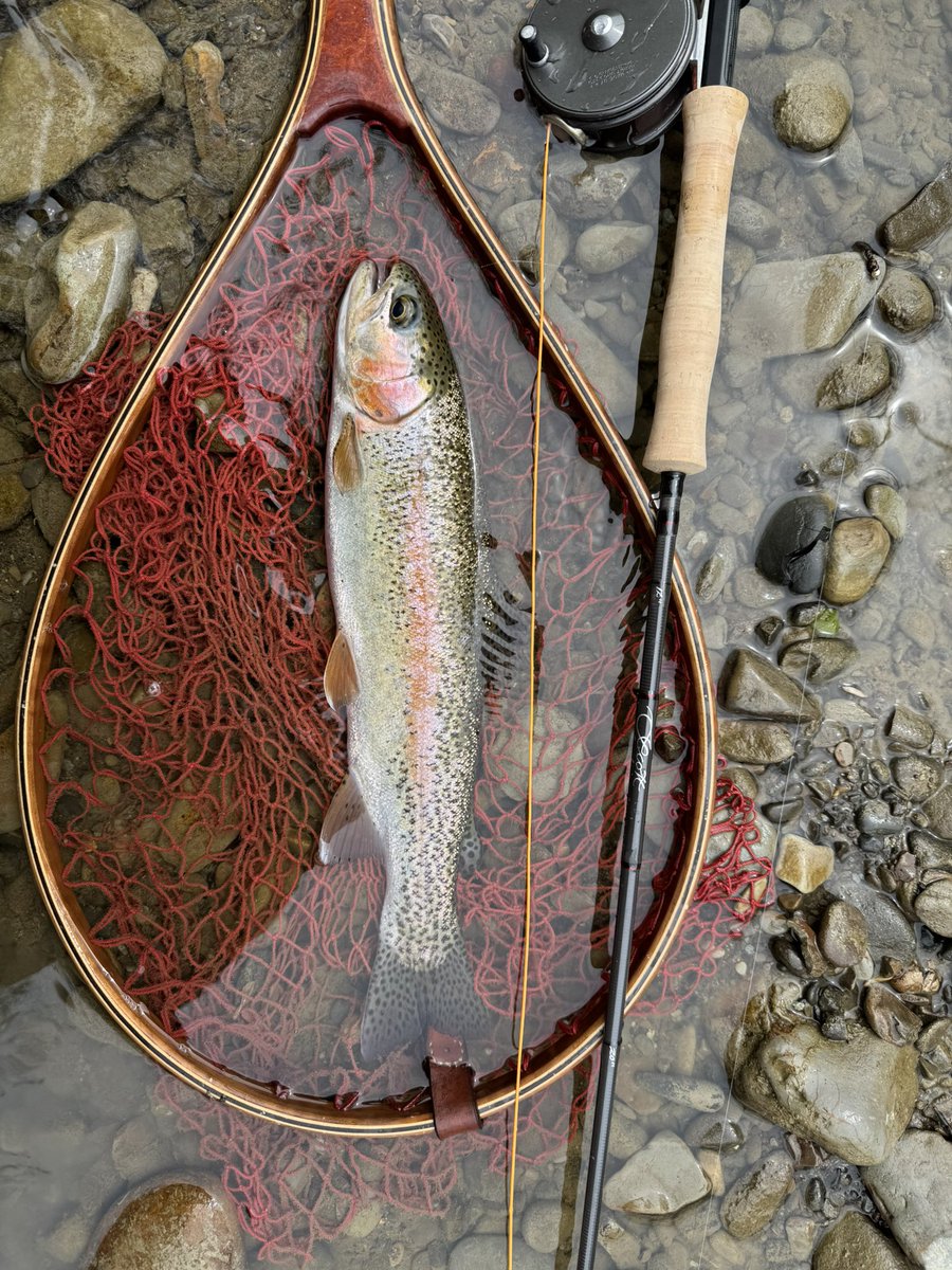 flyfishingとWrangler(キチガイ) tweet media