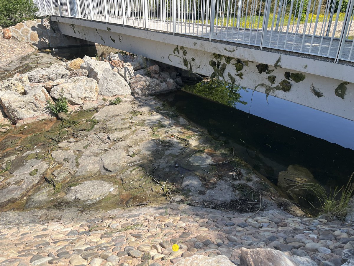 marisasha4's tweet photo. @MADRID @Lineamadrid @AlmeidaPP_  @JMDvivallecas vergüenza está falta de mantenimiento y poco cuidado de nuestro parque de la Gavia. Es cuestión de salud pública el estancamiento de las aguas y el crecimiento de algas. Suciedad. Aumento de plagas… https://t.co/DT6pQtDD55