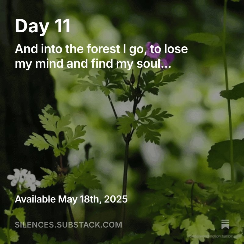 mindworld28's tweet photo. #art #quotes 
https://t.co/WG9wQWWxZn https://t.co/lpoWQKmQng