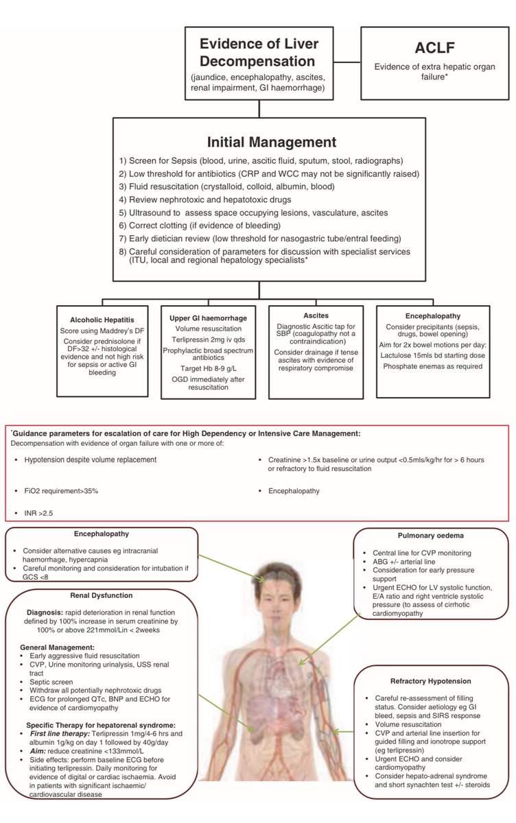 Approach to liver decompensation