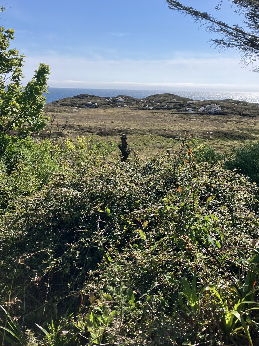 aliduce28's tweet image. Cracking weather this weekend