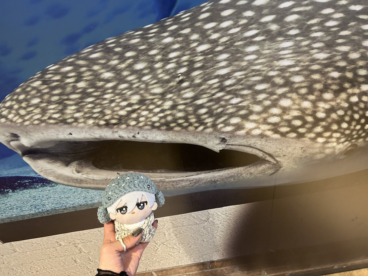 しらす tweet media