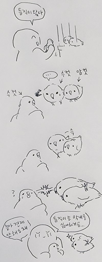듬직이를 보여주면 늘이가 막내등에 다리를 올리고 자기꺼라고 어필을 하더라고요ㅋㅋ 듬직이 취향은 강한 수컷이야... 